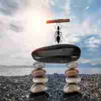 编‍写​html表​单﻿代‍码‍